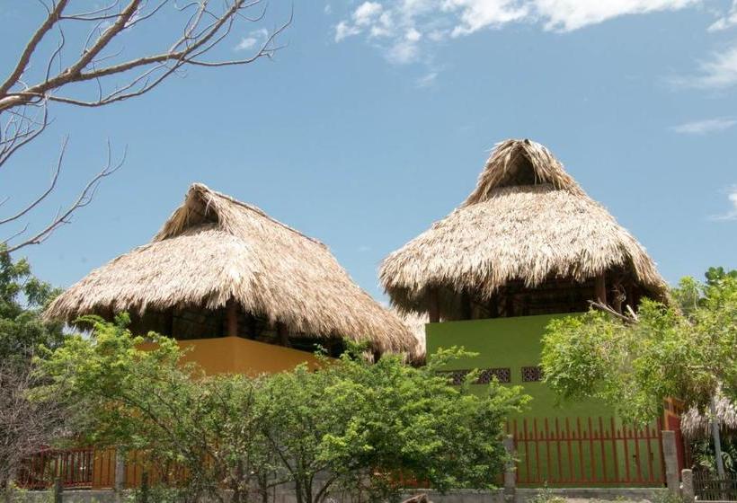 ペンション Red Pepper Popoyo