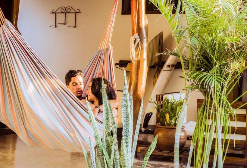 膳宿费 Vibra Guesthouse