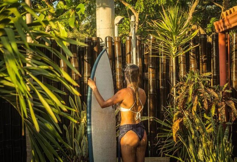 膳宿费 Vibra Guesthouse