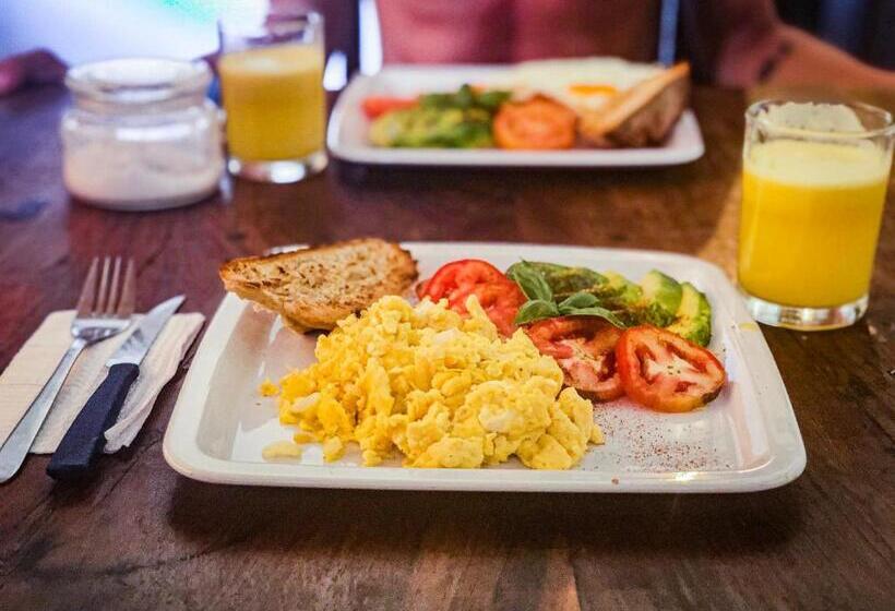 膳宿费 Vibra Guesthouse