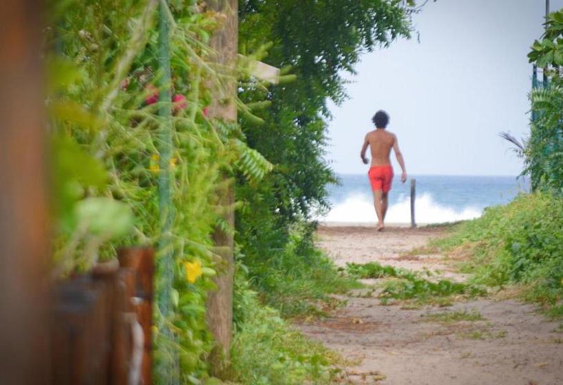 膳宿费 Vibra Guesthouse