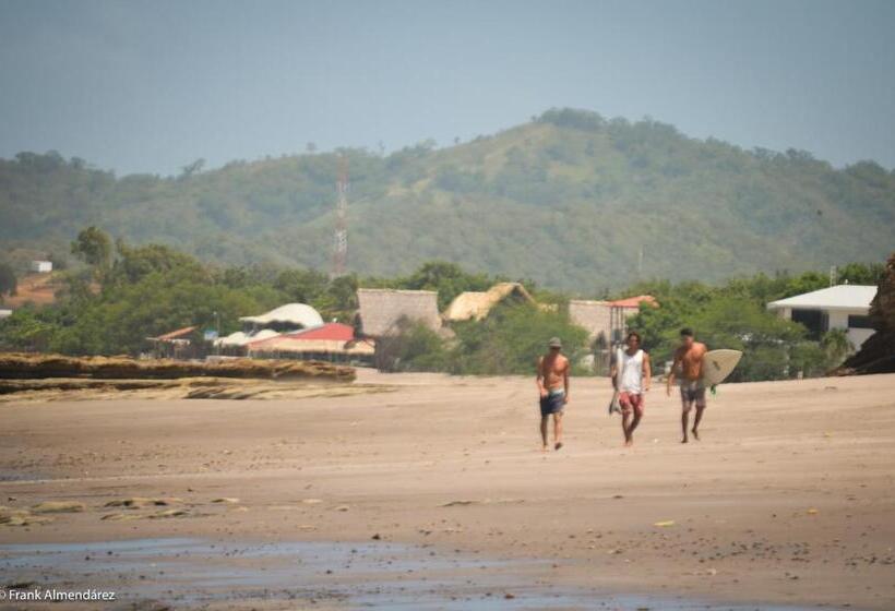 膳宿费 Vibra Guesthouse