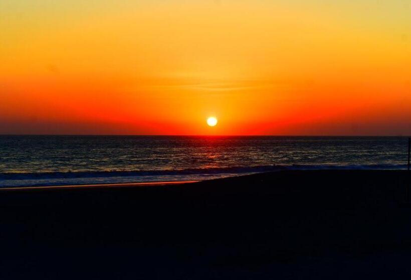 膳宿费 Vibra Guesthouse