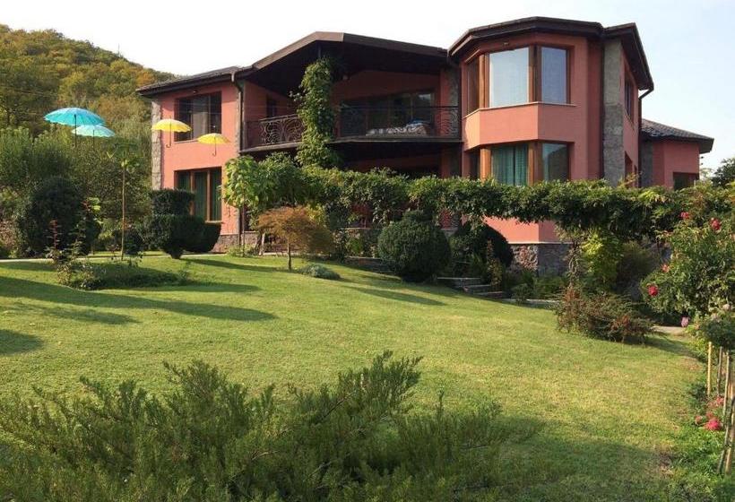 پانسیون Villa Ananuri