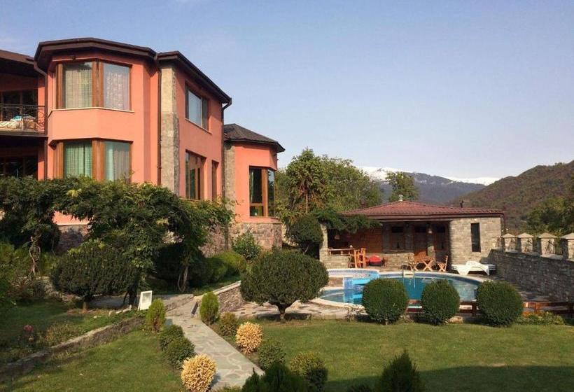 پانسیون Villa Ananuri