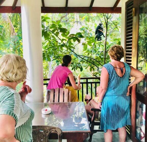 Пансион Villa White