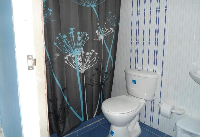 ユースホステル Roxi S Place