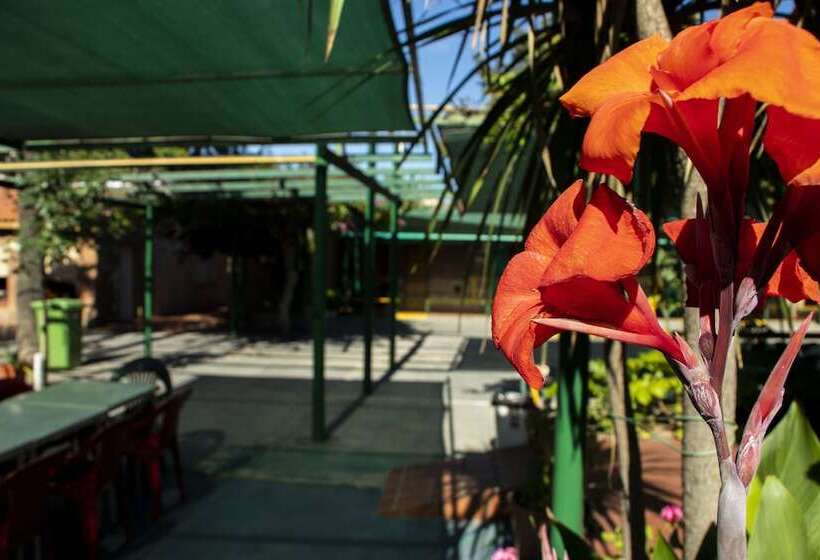 Apart Hotel Las Cepas