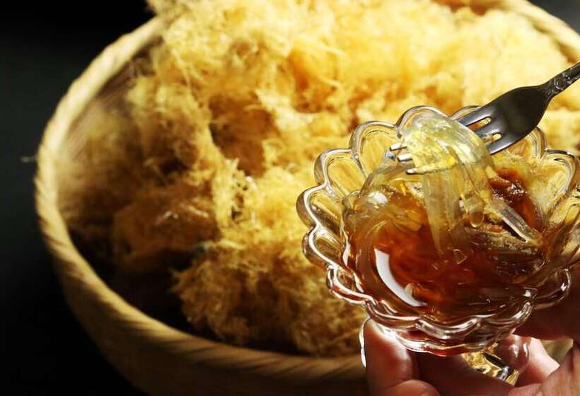 Japanese Style Pension Tamure