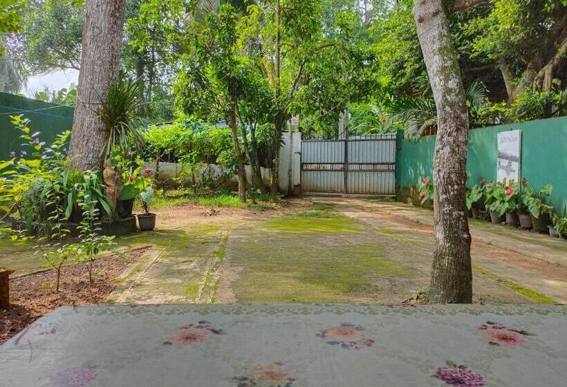 膳宿费 Ancient Tree