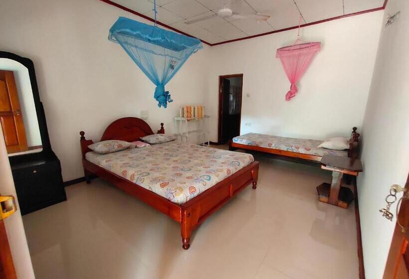 膳宿费 Ancient Tree