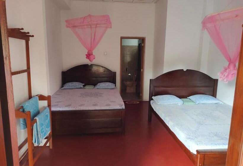 膳宿费 Ancient Tree