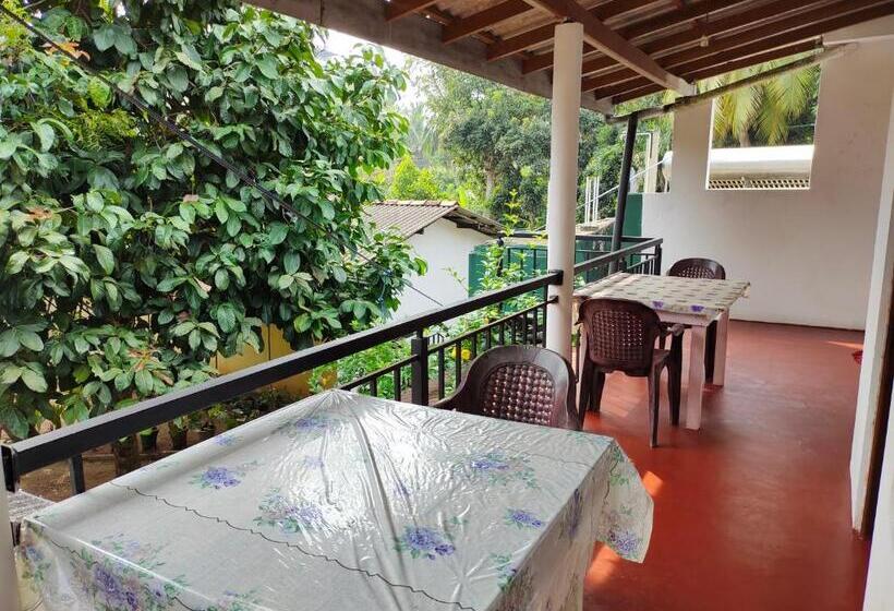 膳宿费 Ancient Tree