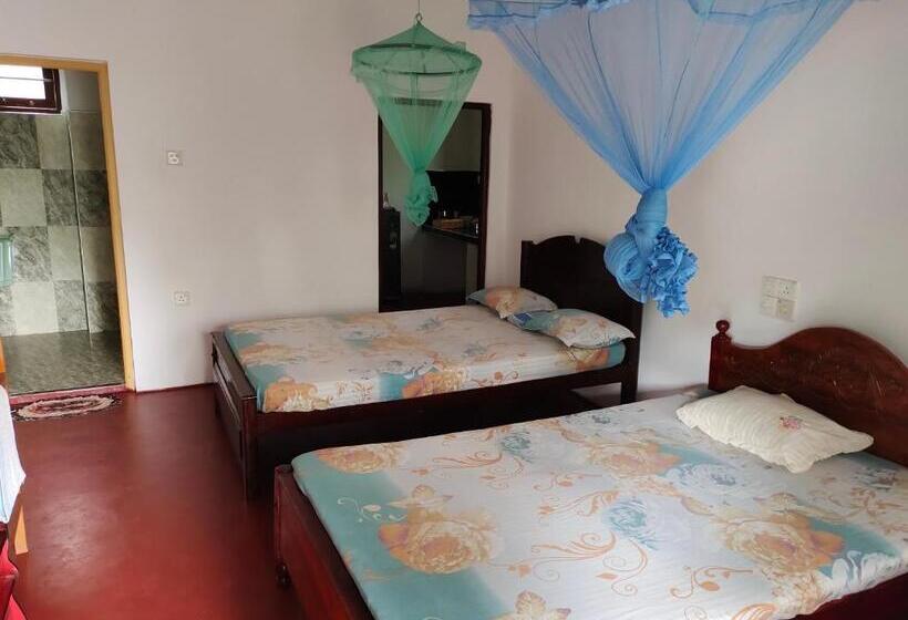 膳宿费 Ancient Tree