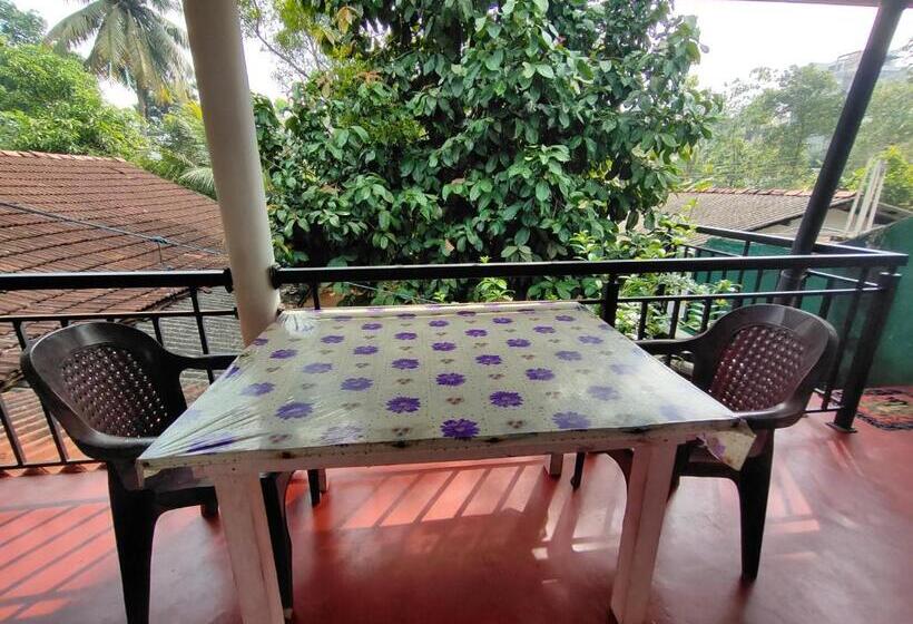 膳宿费 Ancient Tree