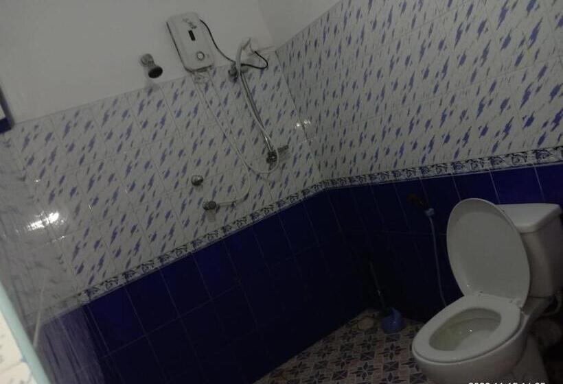 膳宿费 Ancient Tree