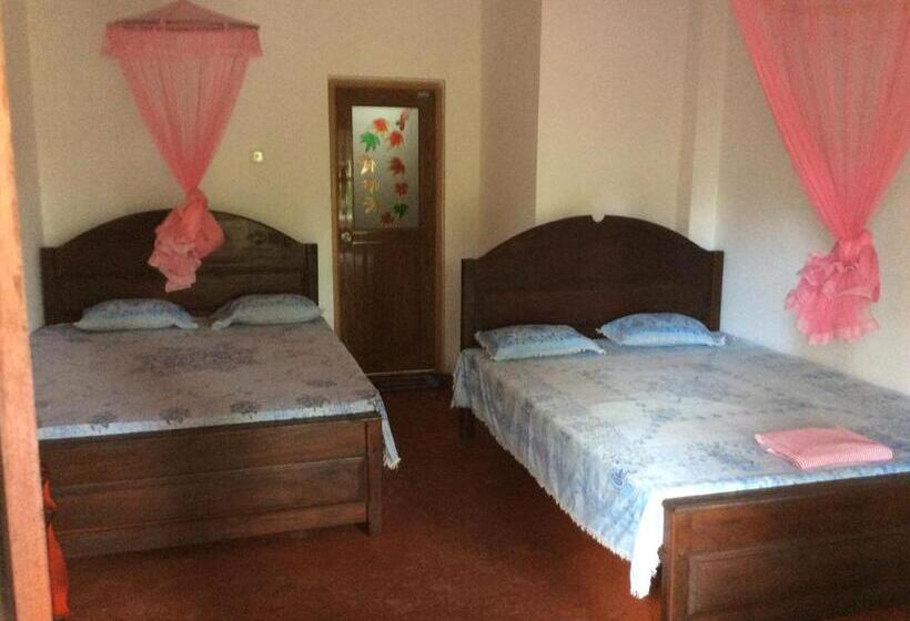 膳宿费 Ancient Tree