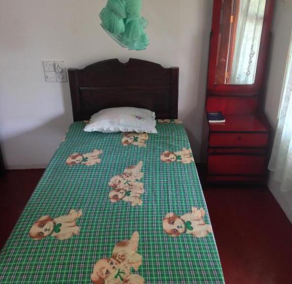 膳宿费 Ancient Tree