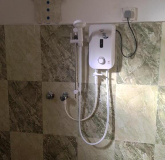 膳宿费 Ancient Tree