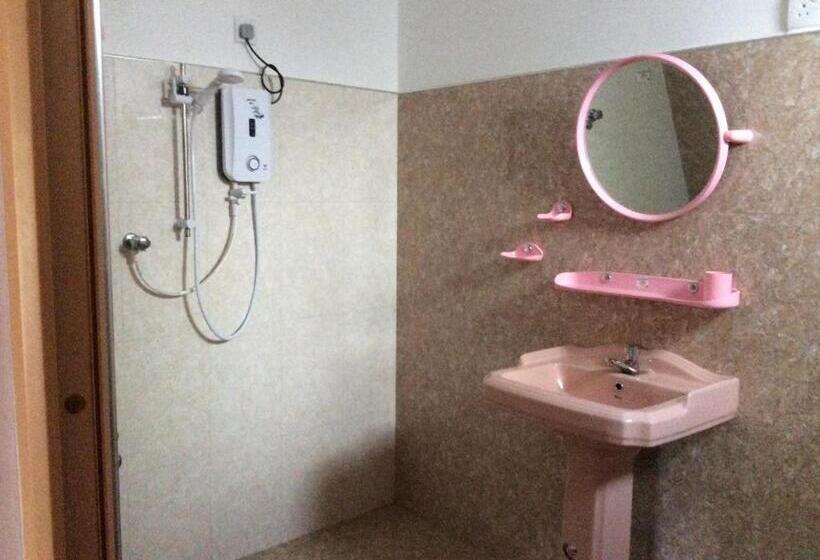 膳宿费 Ancient Tree