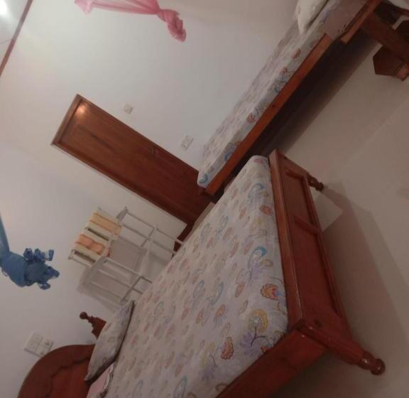 膳宿费 Ancient Tree