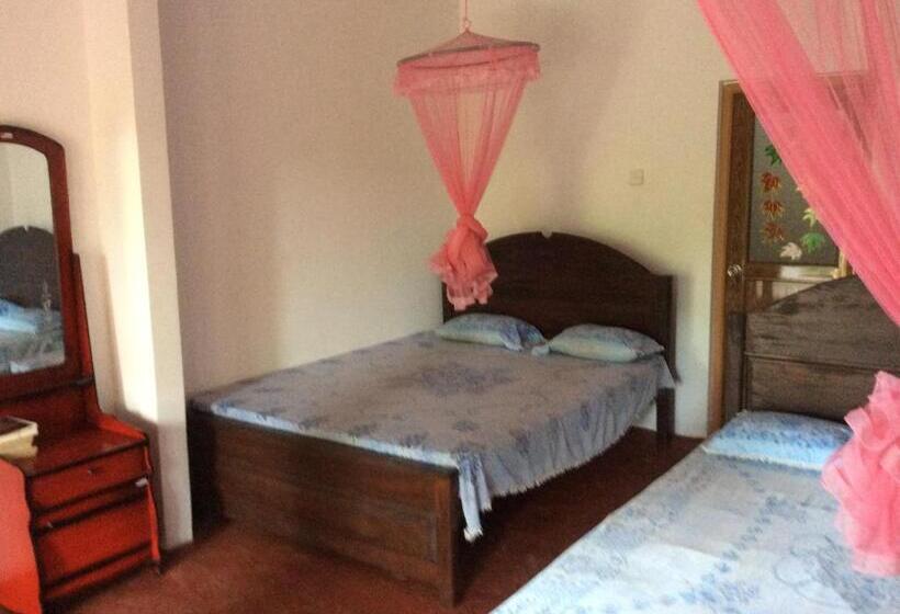 膳宿费 Ancient Tree