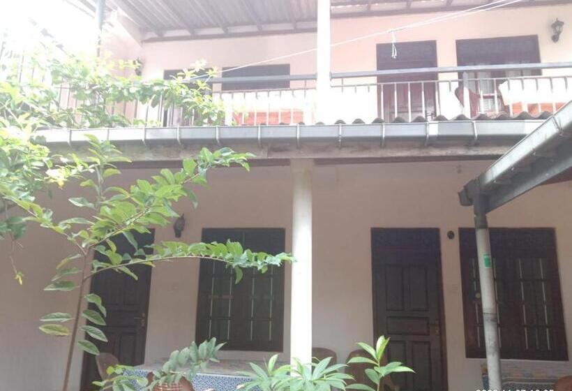 膳宿费 Ancient Tree