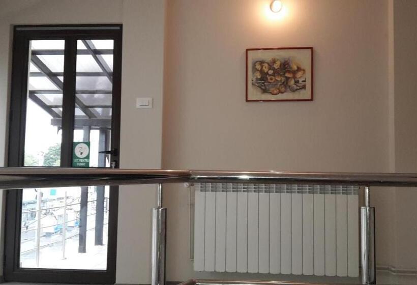 פנסיון Casa Cojocaru