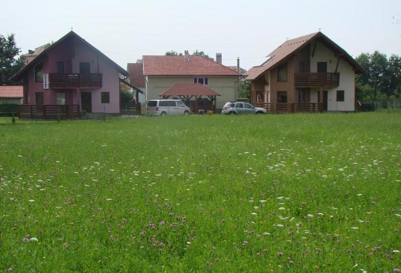 بنسيون Colt De Rai