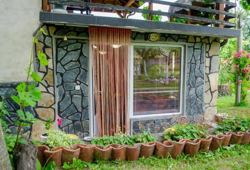 پانسیون Danailovi Guest House