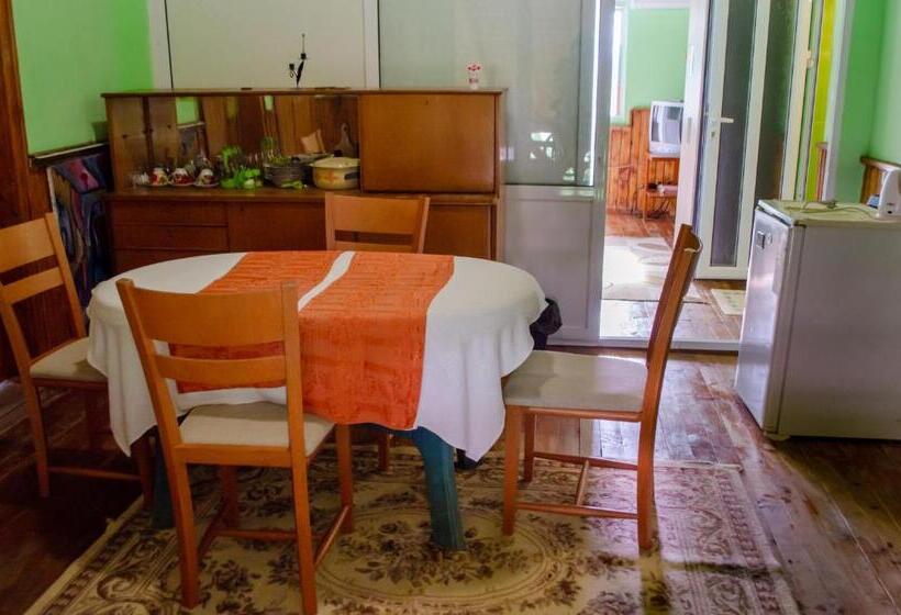 پانسیون Danailovi Guest House