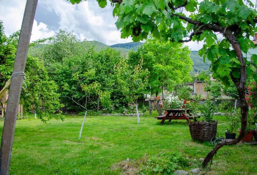 پانسیون Danailovi Guest House