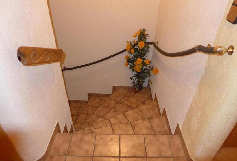 بنسيون Gästehaus Zussner