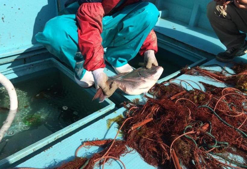 Пансион Guest House Genza