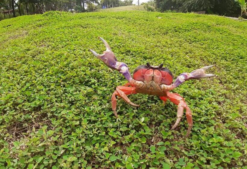 펜션 Oceans Hostal