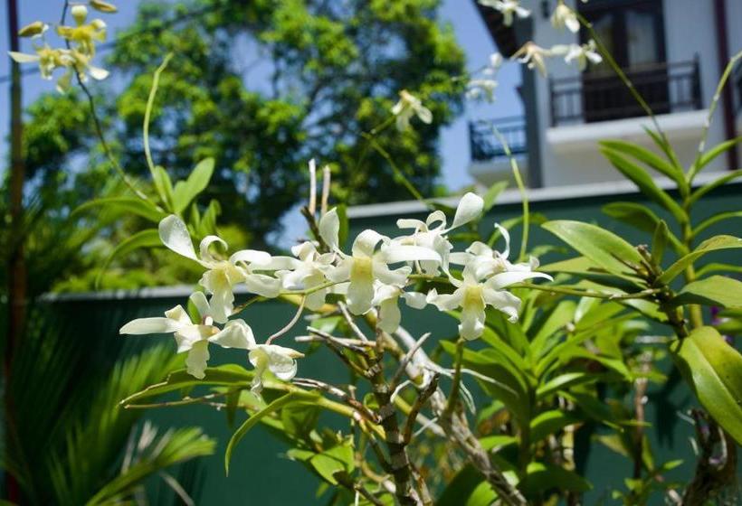 Пансион Villa De White Sambur