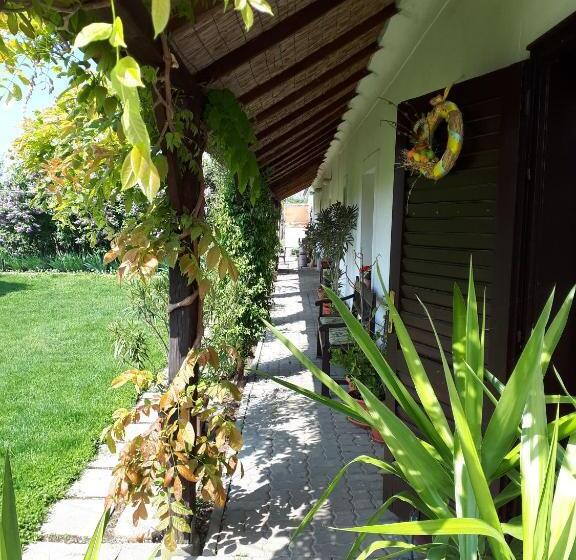 פנסיון Véndektanya Vendégház