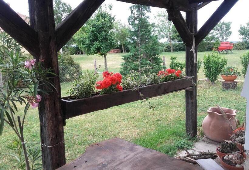 פנסיון Véndektanya Vendégház