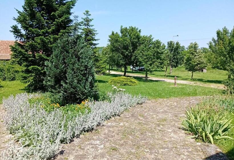 פנסיון Véndektanya Vendégház