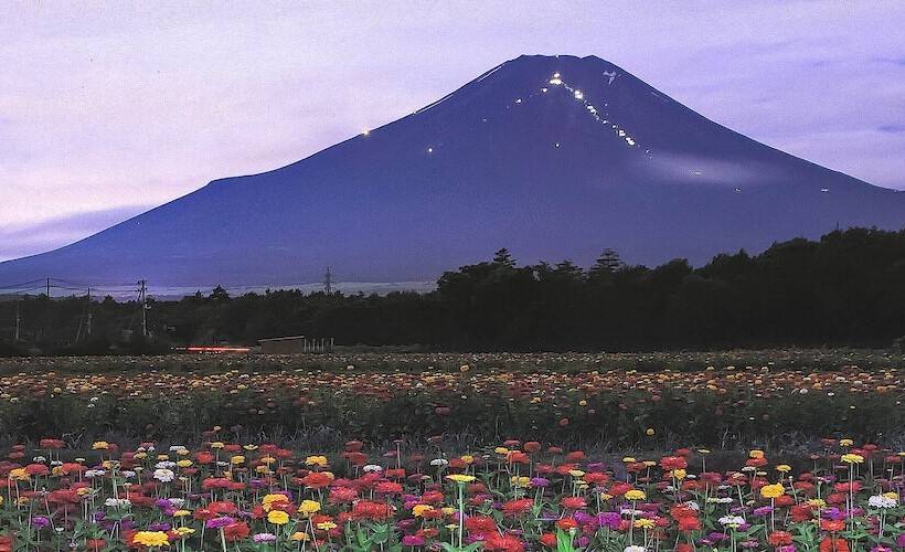 Yamanakako Pension Pause