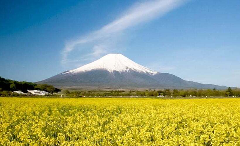 Yamanakako Pension Pause