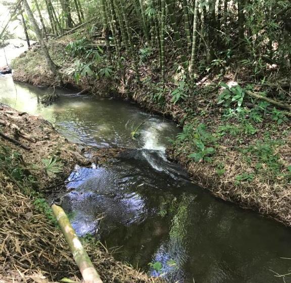 Отель Casa De Campo Sao Paulo