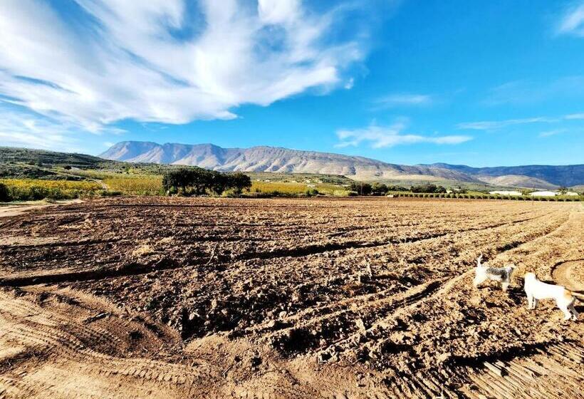 בית מלון כפרי Plaaswegbreek