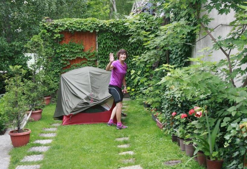 پانسیون Base For Adventurers   Urban Guerrilla