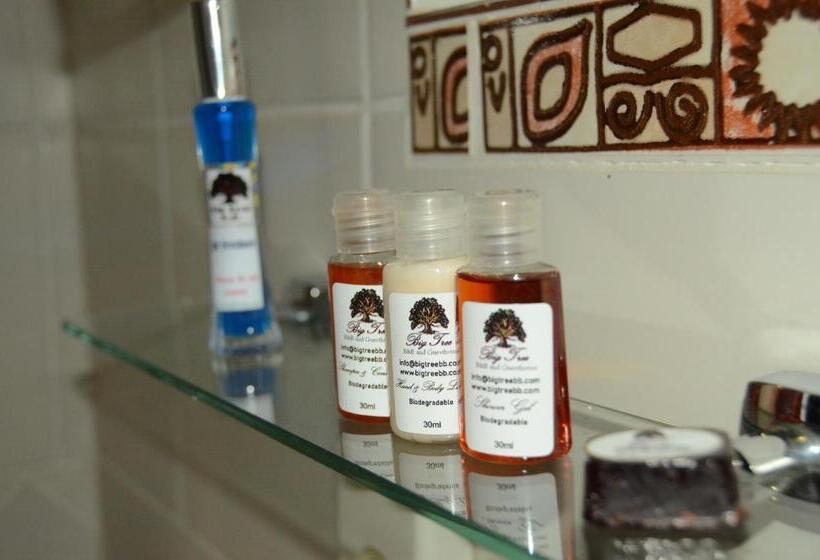 Pension Big Tree Midrand