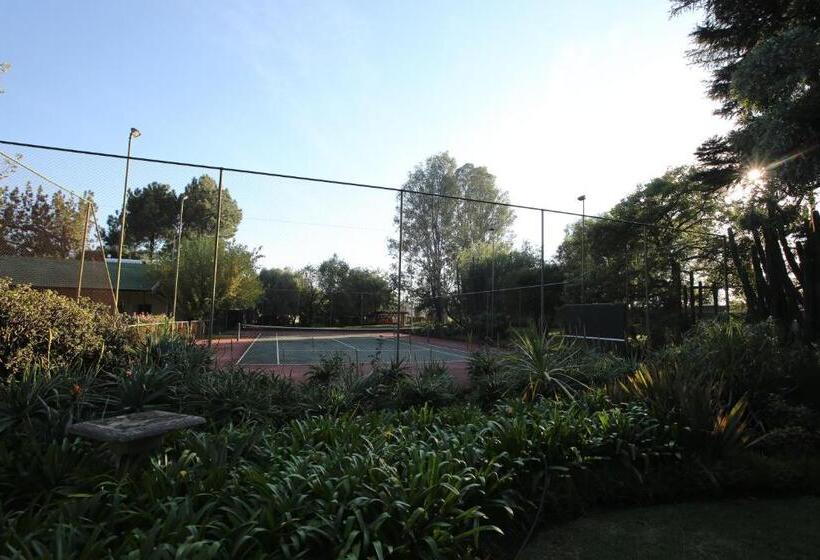 Pension Big Tree Midrand