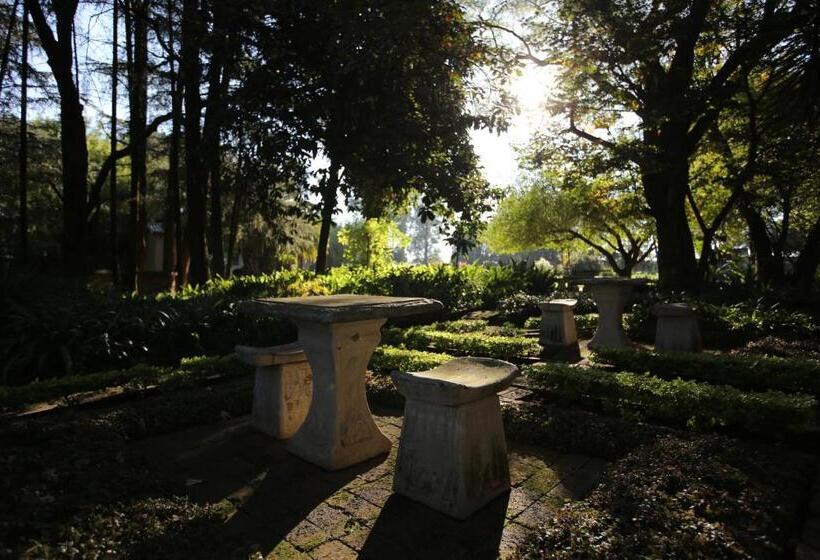 Pension Big Tree Midrand