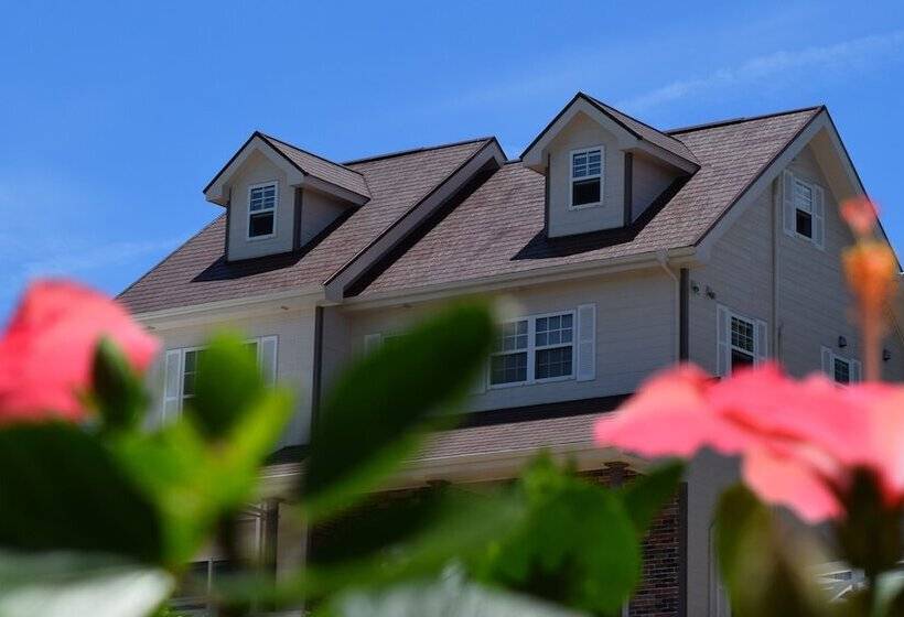 膳宿费 Chura Umi Coral Cabin