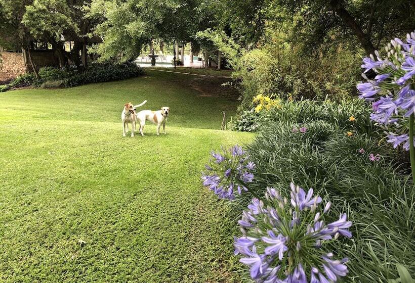 ペンション Hills And Dales Accommodation