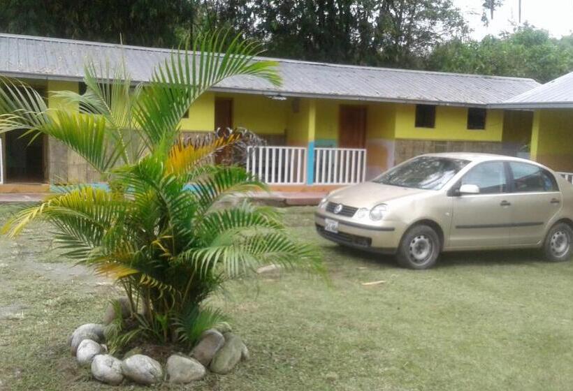 פנסיון Hostal Henrry S